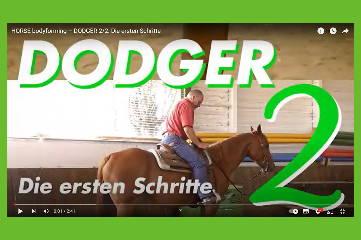 Dodger - Teil 2