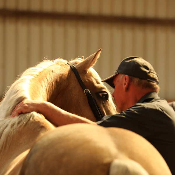 Joomla 4 Business Template