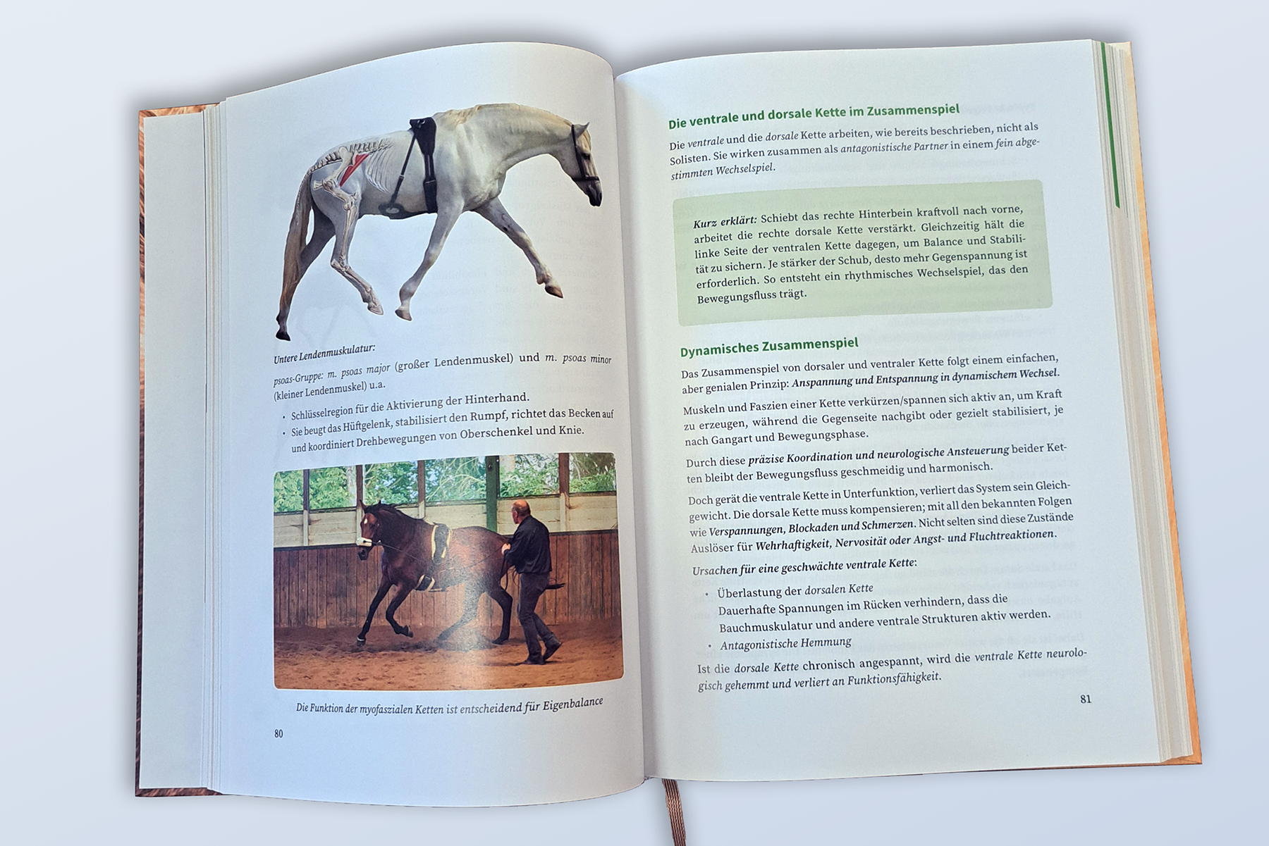 Lernen dürfen statt funktionieren müssen