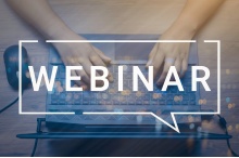 Verladen leicht gemacht mit dem Mobility Bridle