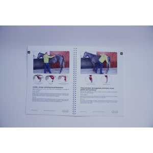 leitfaden_fur_faszientraining_innen