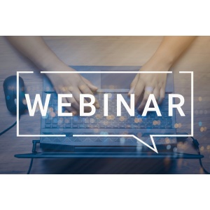 Verladen leicht gemacht mit dem Mobility Bridle